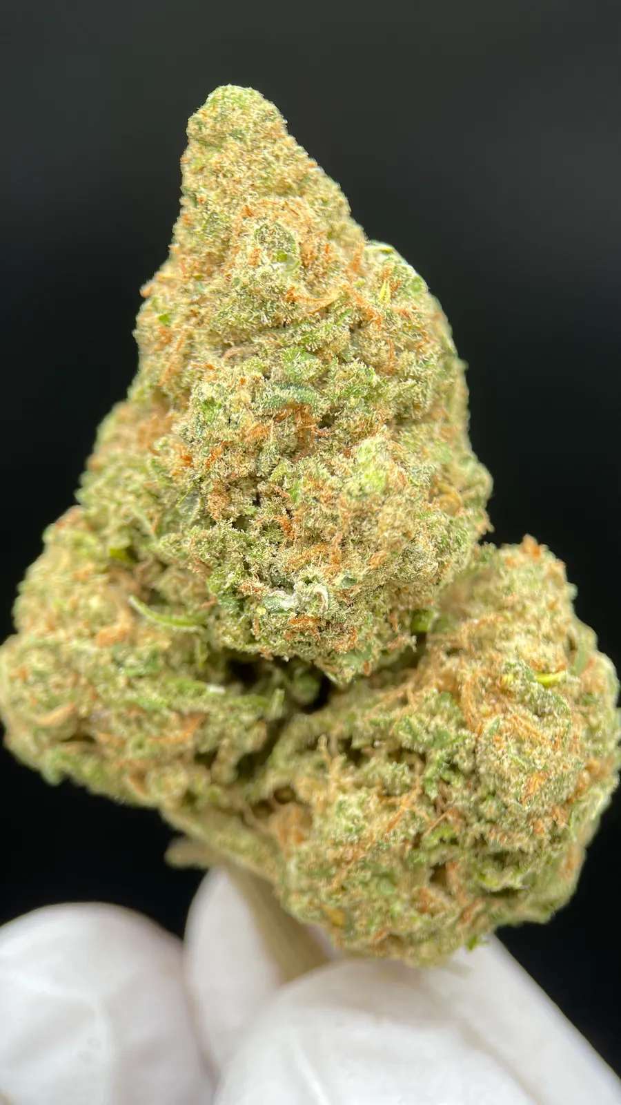 Glokies CBD HIDROPÓNICO. - Cáñamo industrial uso aromático