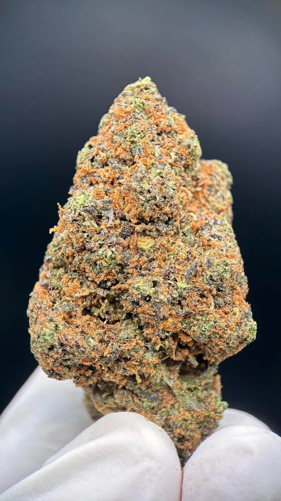 Grape'n Cream Hidropónico - Cáñamo industrial uso aromático